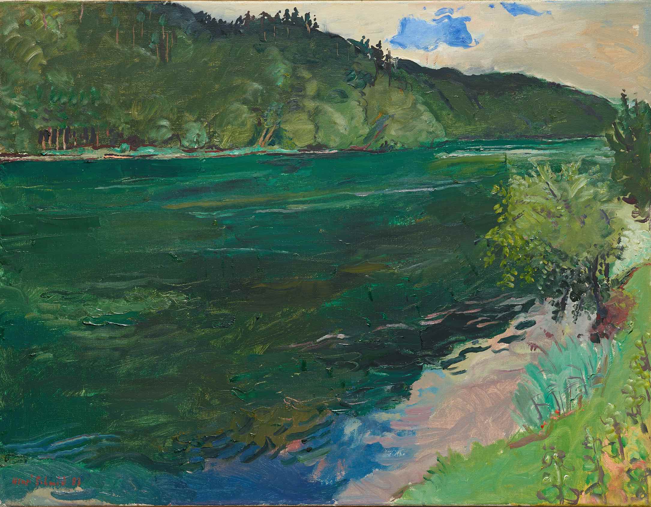 Grüner Rhein